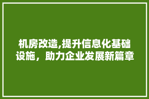 机房改造,提升信息化基础设施，助力企业发展新篇章
