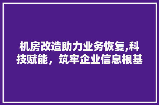机房改造助力业务恢复,科技赋能，筑牢企业信息根基