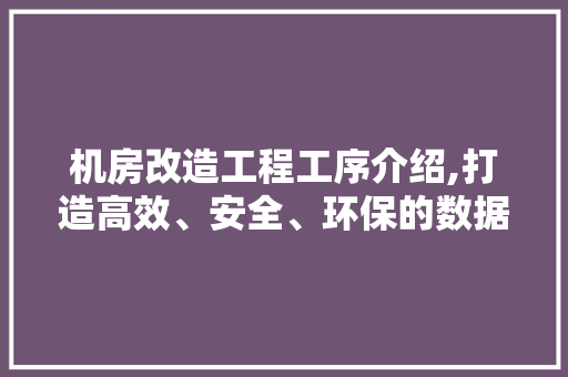 机房改造工程工序介绍,打造高效、安全、环保的数据中心