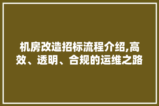机房改造招标流程介绍,高效、透明、合规的运维之路 装修材料