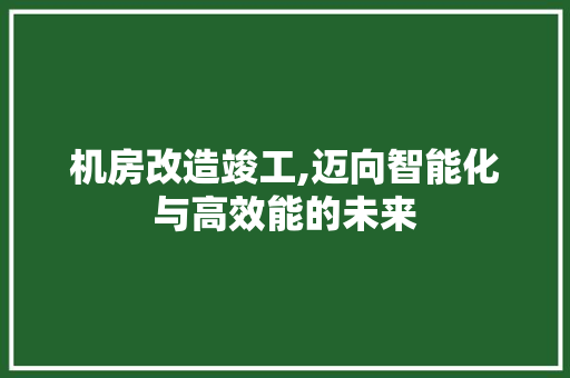 机房改造竣工,迈向智能化与高效能的未来