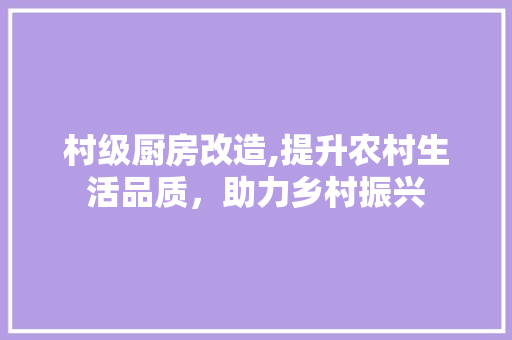 村级厨房改造,提升农村生活品质，助力乡村振兴