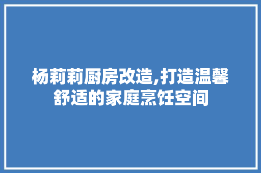 杨莉莉厨房改造,打造温馨舒适的家庭烹饪空间