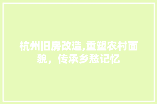 杭州旧房改造,重塑农村面貌，传承乡愁记忆