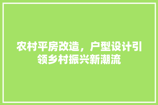 农村平房改造，户型设计引领乡村振兴新潮流 装修材料