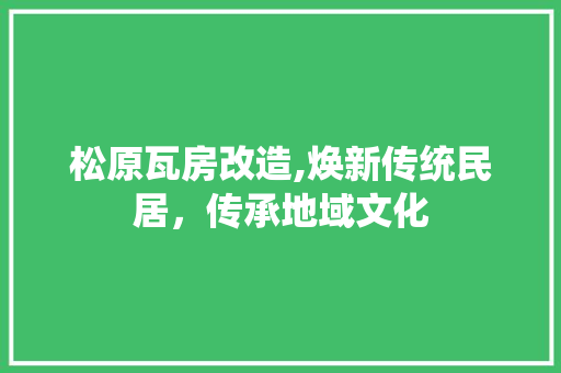 松原瓦房改造,焕新传统民居，传承地域文化 隔断设计