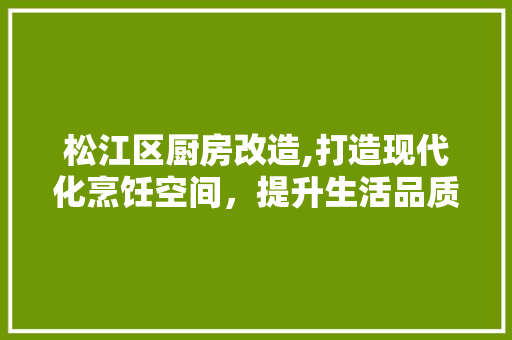 松江区厨房改造,打造现代化烹饪空间，提升生活品质