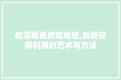松溪租房改造地毯,创新空间利用的艺术与方法