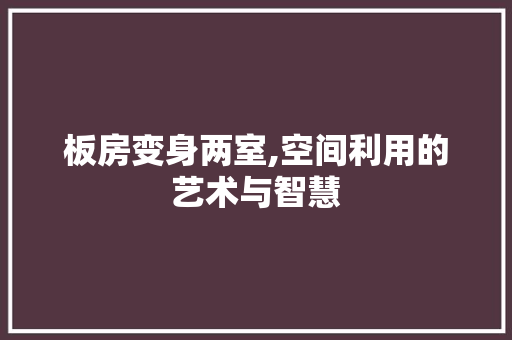 板房变身两室,空间利用的艺术与智慧 地面装修