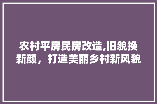 农村平房民房改造,旧貌换新颜，打造美丽乡村新风貌 门窗装修