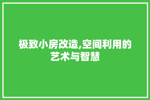 极致小房改造,空间利用的艺术与智慧 装修攻略