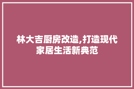 林大吉厨房改造,打造现代家居生活新典范