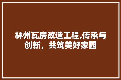 林州瓦房改造工程,传承与创新，共筑美好家园 装修攻略