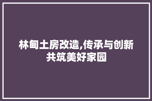 林甸土房改造,传承与创新共筑美好家园 地面装修