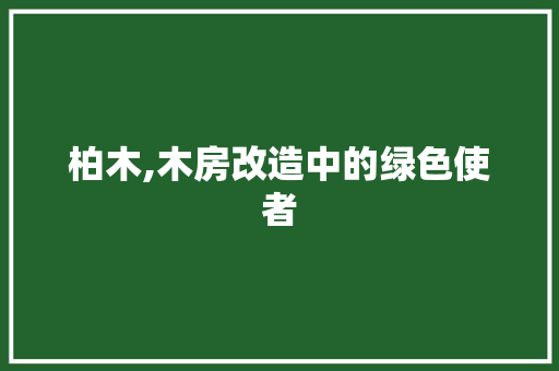柏木,木房改造中的绿色使者