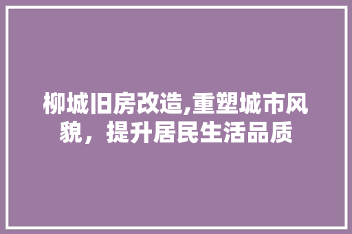 柳城旧房改造,重塑城市风貌，提升居民生活品质 门窗装修