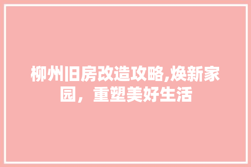 柳州旧房改造攻略,焕新家园，重塑美好生活 隔断设计