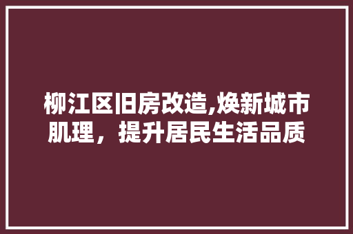 柳江区旧房改造,焕新城市肌理，提升居民生活品质 墙面装饰