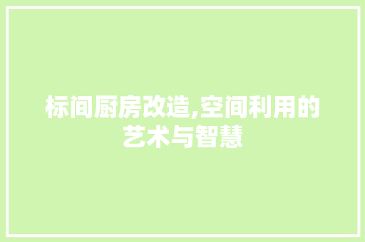 标间厨房改造,空间利用的艺术与智慧 装修材料