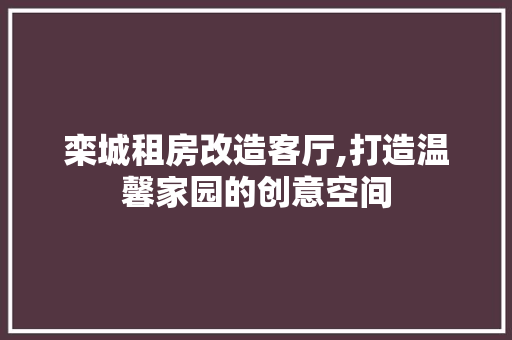 栾城租房改造客厅,打造温馨家园的创意空间