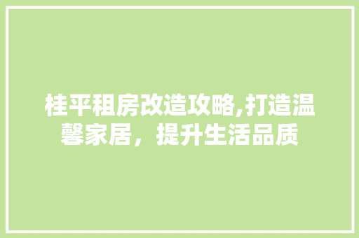 桂平租房改造攻略,打造温馨家居，提升生活品质