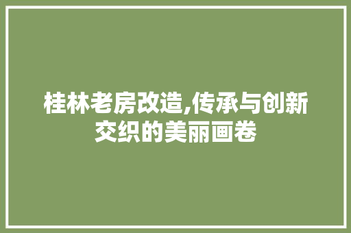 桂林老房改造,传承与创新交织的美丽画卷