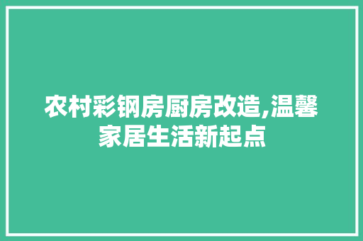 农村彩钢房厨房改造,温馨家居生活新起点