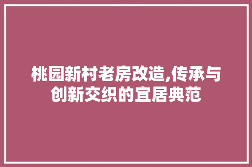 桃园新村老房改造,传承与创新交织的宜居典范 庭院装修