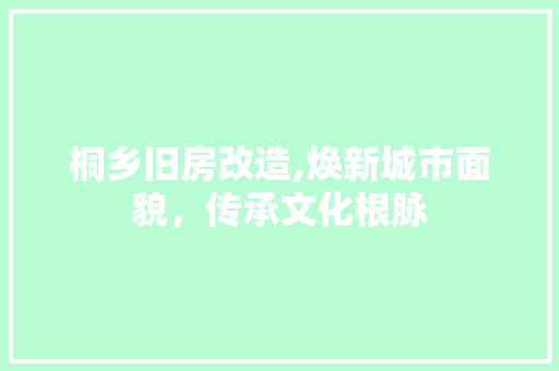 桐乡旧房改造,焕新城市面貌，传承文化根脉 墙面装饰