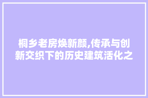 桐乡老房焕新颜,传承与创新交织下的历史建筑活化之路