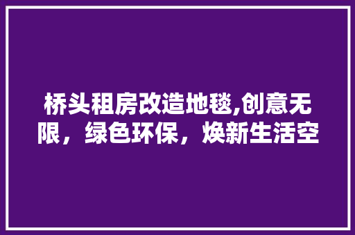 桥头租房改造地毯,创意无限，绿色环保，焕新生活空间 建筑设计