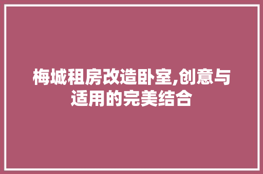 梅城租房改造卧室,创意与适用的完美结合