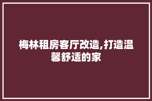 梅林租房客厅改造,打造温馨舒适的家 装修材料