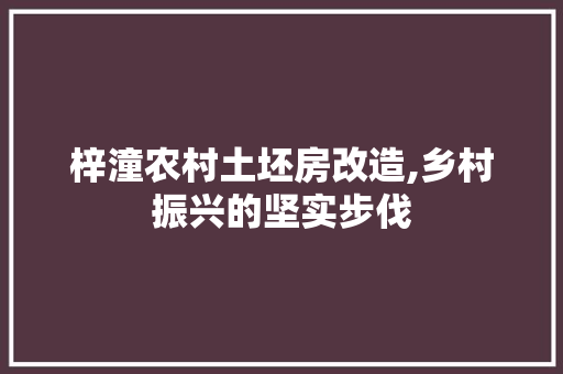 梓潼农村土坯房改造,乡村振兴的坚实步伐