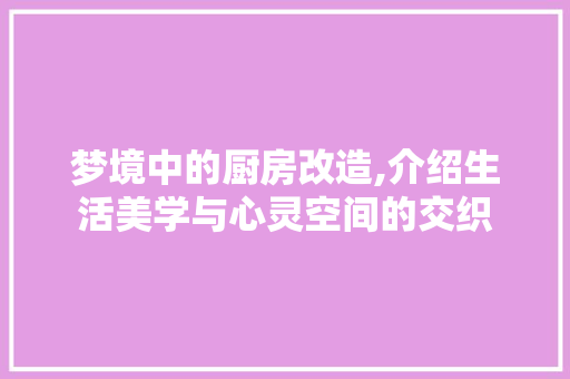 梦境中的厨房改造,介绍生活美学与心灵空间的交织 门窗装修