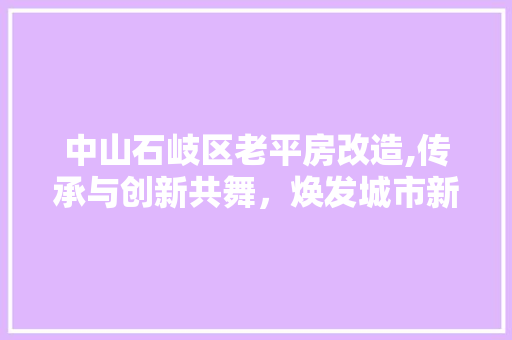 中山石岐区老平房改造,传承与创新共舞，焕发城市新活力