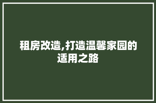 租房改造,打造温馨家园的适用之路