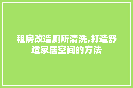 租房改造厕所清洗,打造舒适家居空间的方法