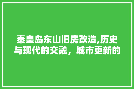 秦皇岛东山旧房改造,历史与现代的交融，城市更新的典范