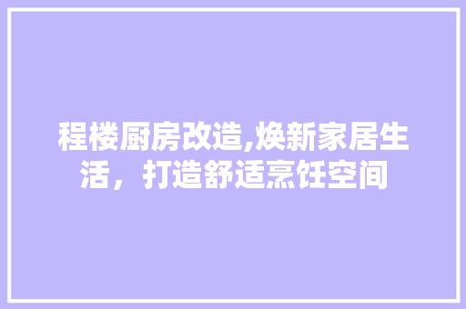 程楼厨房改造,焕新家居生活，打造舒适烹饪空间