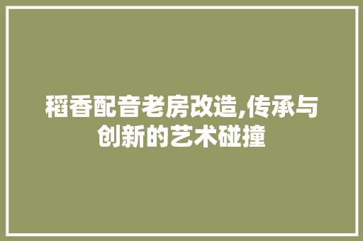 稻香配音老房改造,传承与创新的艺术碰撞 建筑设计