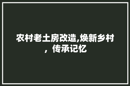 农村老土房改造,焕新乡村，传承记忆