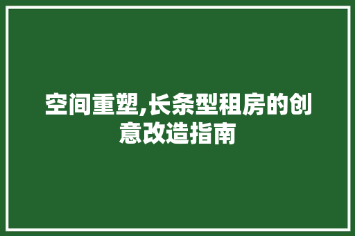 空间重塑,长条型租房的创意改造指南