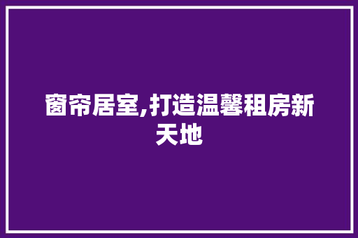 窗帘居室,打造温馨租房新天地 墙面装饰