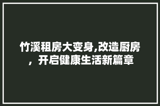 竹溪租房大变身,改造厨房，开启健康生活新篇章 景观设计