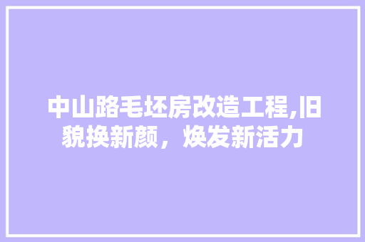 中山路毛坯房改造工程,旧貌换新颜，焕发新活力