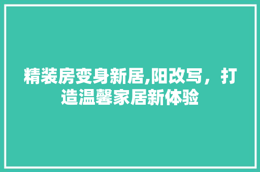 精装房变身新居,阳改写，打造温馨家居新体验 景观设计