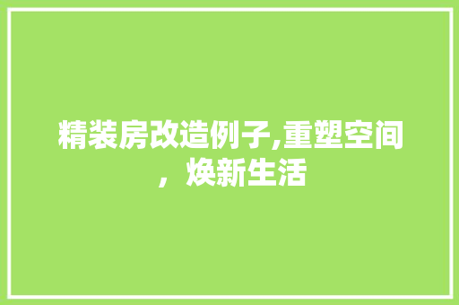 精装房改造例子,重塑空间，焕新生活