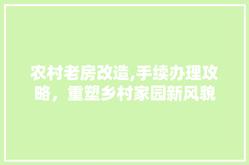 农村老房改造,手续办理攻略，重塑乡村家园新风貌