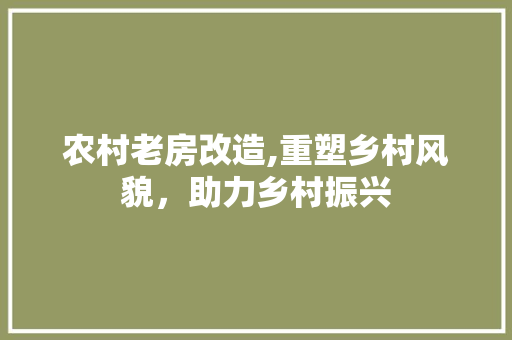 农村老房改造,重塑乡村风貌，助力乡村振兴
